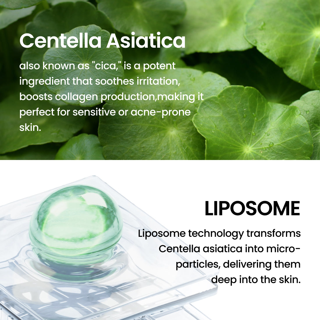 [delphyr] Liposome Waterful Bubble Toner 150ml