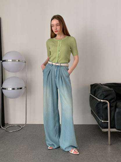 [Rêverit] Pleated Tencel Wide-Leg Jeans (2 Colours)